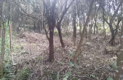 Terreno à venda na Avenida Magalhães Pinto, Centro, Mário Campos