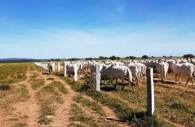 Fazenda à venda na Rua Cesário Alvim, Centro, Januária