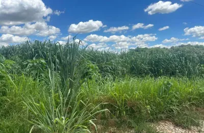 Fazenda à venda na Estrada Do Capão, Capão, Mário Campos