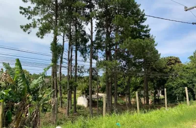 Terreno comercial para venda em torres, engenho velho