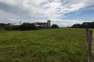 Chácara / sítio à venda na Pinheiros, 1000, São Braz, Torres