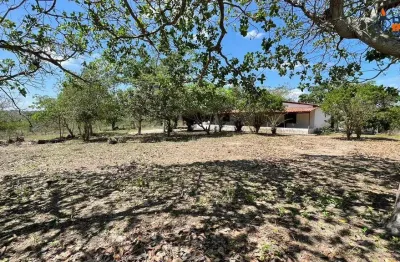 Chácara residencial para venda no tomba, feira de santana, 4 quartos, 1 sala, 2 banheiros 60mil m² área total.