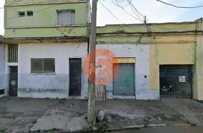 Casa com 4 quartos para alugar na Vila Rezende, Piracicaba 