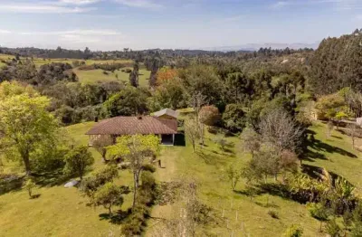 Chácara / sítio com 3 quartos à venda na Estrada De Santa Cruz, Sem númer, Três Córregos, Campo Largo