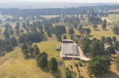 Terreno à venda na Br-376, 539, São Luiz do Purunã, Balsa Nova