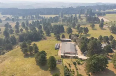 Terreno à venda na Br-376, 539, São Luiz do Purunã, Balsa Nova