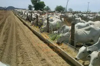 Excelente! fazenda de 8.264 alqueires com frigoríficos no oeste da bahia  fa00156