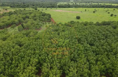 Excelente fazenda em  lagoa da confusão - tocantins fa00139