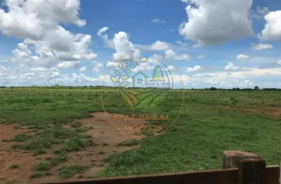 Oportunidade! fazenda no tocantins com 970 alqueires fa00136