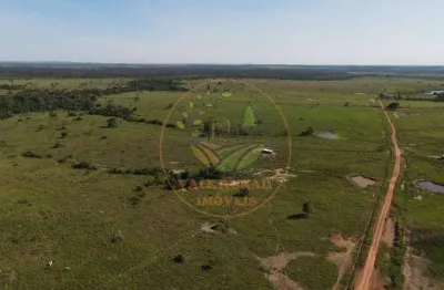 Magnífica fazenda de 1.288 alqueires no estado rondônia fa00135