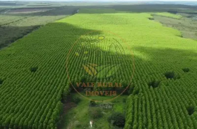 Linda fazenda de  550 alqueires em catalão go! fa00132