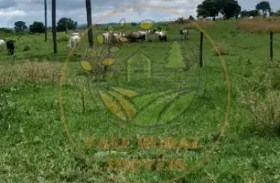 Ótima fazenda de 190 alqueires em caldas novas go! fa00131