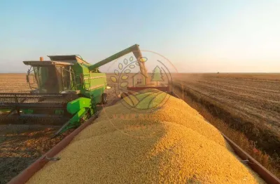 Magnífica fazenda  de 84 alqueires em goiás! fa00129