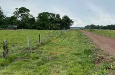 Excelente fazenda dupla apetidão 1.193 alqueires - vale do araguaia,  estado de tocantins / fa00128