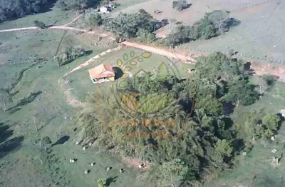 Sítio com nascente e pomar em minas gerais - st00142