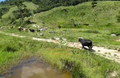 Incrível fazenda com nascentes e água cristalina no rj - fa00121