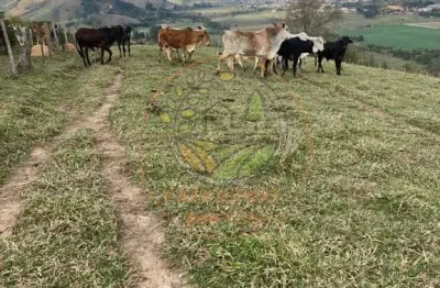 Chácara / sítio com 2 quartos à venda no Centro, Congonhal 