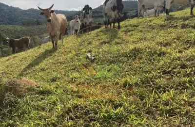 Lindo sítio com  pasto e curral em pouso alegre mg - st00123