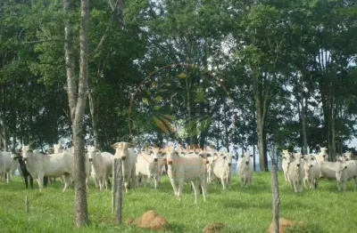 Maravilhosa fazenda com 607 hectares em vazante mg - fa00116