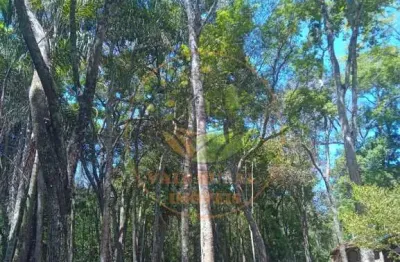 Sítio maravilhoso em conceição do rio verde com diversas belezas naturais.