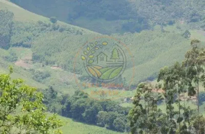 Oportunidade em cunha! área rural com mais de 32.000 pés de eucalipto! ar00062