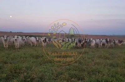 Raridade! maravilhosa fazenda de 1.172 alqueires com fábrica de ração e pista de pouso em sp! fa00102