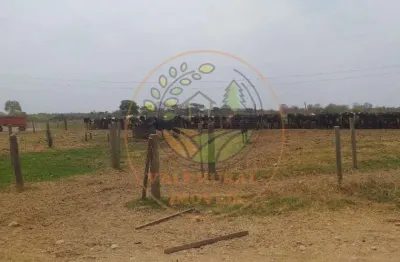 Excelente fazenda de 18.000 hectares para agricultura e pecuária em minas gerais! fa00098