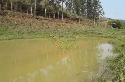 Oportunidade! área de 20.000 m², escriturada e com fartura de água em sfx! ar00051