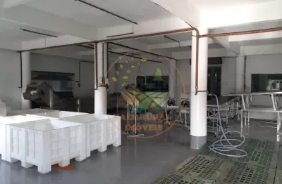 Oportunidade de negócio! industria de açai e polpa de frutas com 16.250 hectares! gl00006