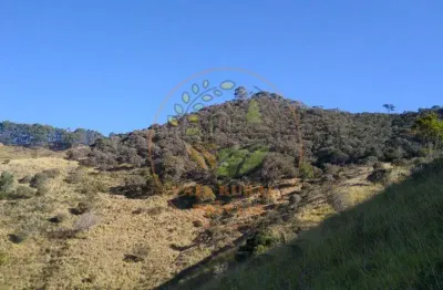 Excelente  sítio de 6 alqueires com nascente e pasto! st00085