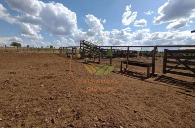 Fazenda no norte de minas com 800 hectares! porteira fechada! fa00080