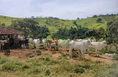 Excelente fazenda com 347 hectares no sul de minas para pecuaria de corte e leite! fa00068