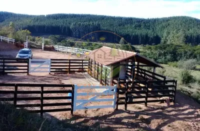 Excelente fazenda com 69 hectares  rica em águas em liberdade mg! fa00066