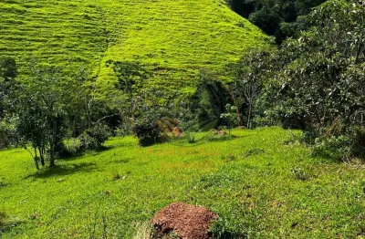 Excelente área rural em jambeiro com 22.500 m² e muita água! ar00041