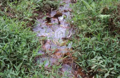 Maravilhosa área com 6,37 hectares e muita água no sul de minas! ar00037