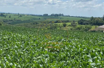 Maravilhosa fazenda com topografia muito boa, plantação de soja e facilidade no pagamento!
