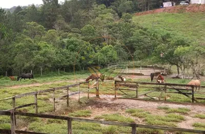 Excelente sítio - haras formado com 114.700 m² em mogi das cruzes com muitas benfeitorias! st00061
