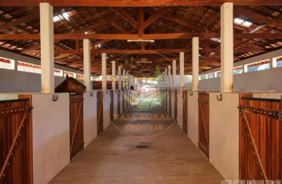 Fazenda com 2 salas à venda no Centro, Sapucaí-Mirim 