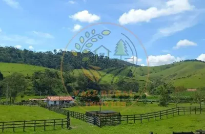 Oportunidade rural! maravilhoso sítio em cunha com 8,5 alqueires, rica em águas !  st00036