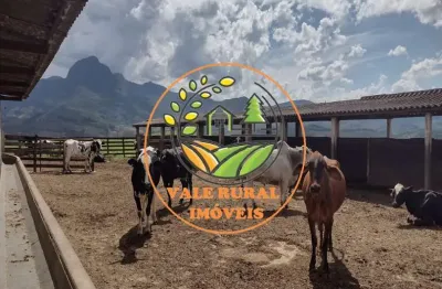 Imperdível! excelente fazenda no sul de minas com 450 hectares e rica em águas!   fa00032