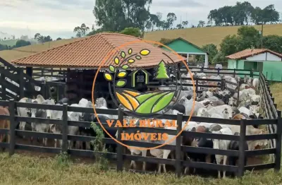 Raridade! fazenda no sul de minas de  143 hectares, com estrutura completa para bois de corte!  fa00025