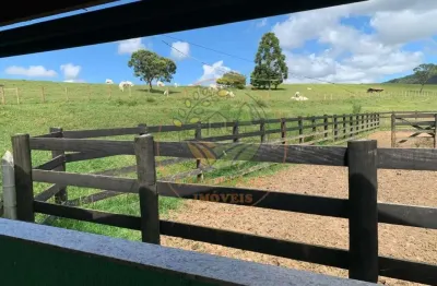 Raridade! fazenda no sul de minas de  153 hectares, com estrutura completa para bois de corte! fa00025