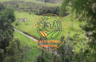 Oportunidade!  ótima fazenda formada em areias/sp de 570 alqueires     - fa00018