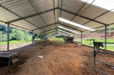 Fazenda em lagoinha- sp com aproximadamente 40 alqueires de eucalipto + estrutura para pecuária! fa00016