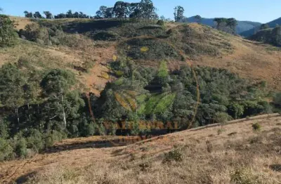Sítio de 12 alqueires em cunha - com pasto, nascente e curral!   st00016