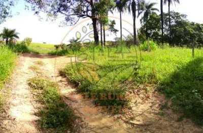 Fazenda à venda no Centro, Tiros 