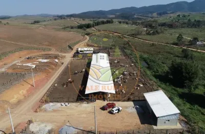Fazenda estruturada para confinamento ou leite no vale do paraíba. porteira fechada! - fa00003