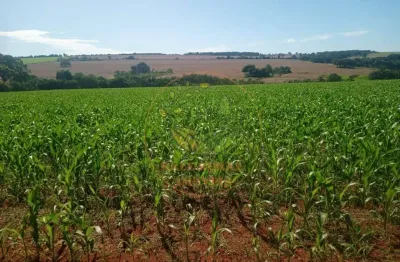 Excelente fazenda de 69 alqueires em piracanjuba de goiás  fa00194
