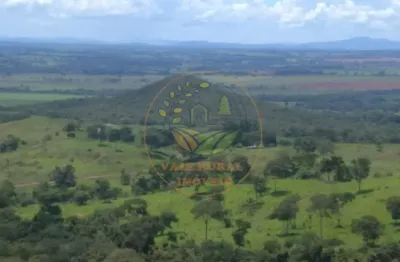 Fazenda de 102 alqueires na região do são patrício- go  fa00193