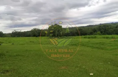 Fazenda de dupla aptidão, com 310 alqueires na região de ipameri - go  fa00196